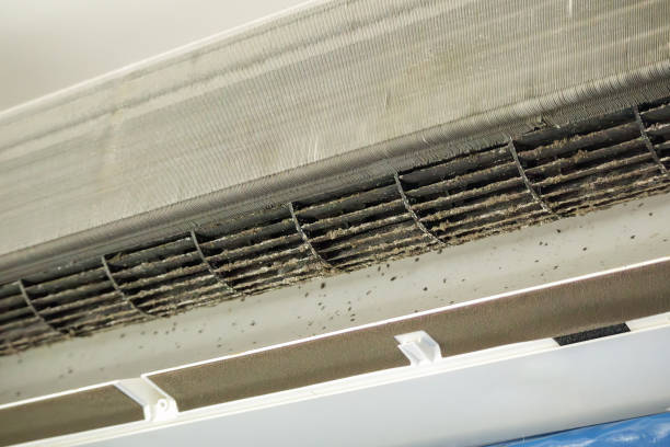 Best Commercial Air Duct Cleaning  in Clifton, NJ